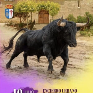 TOROS EL MADERAL DEL 19 AL 20 DE JULIO 2025