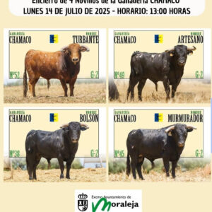 TOROS ENCIERRO MORALEJA 14 JULIO 2025