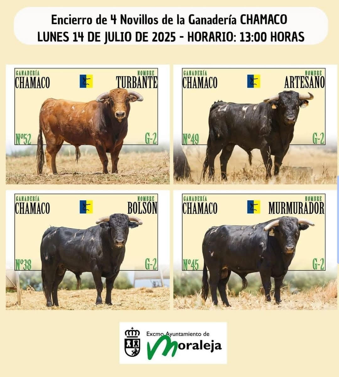 TOROS ENCIERRO MORALEJA 14 JULIO 2025