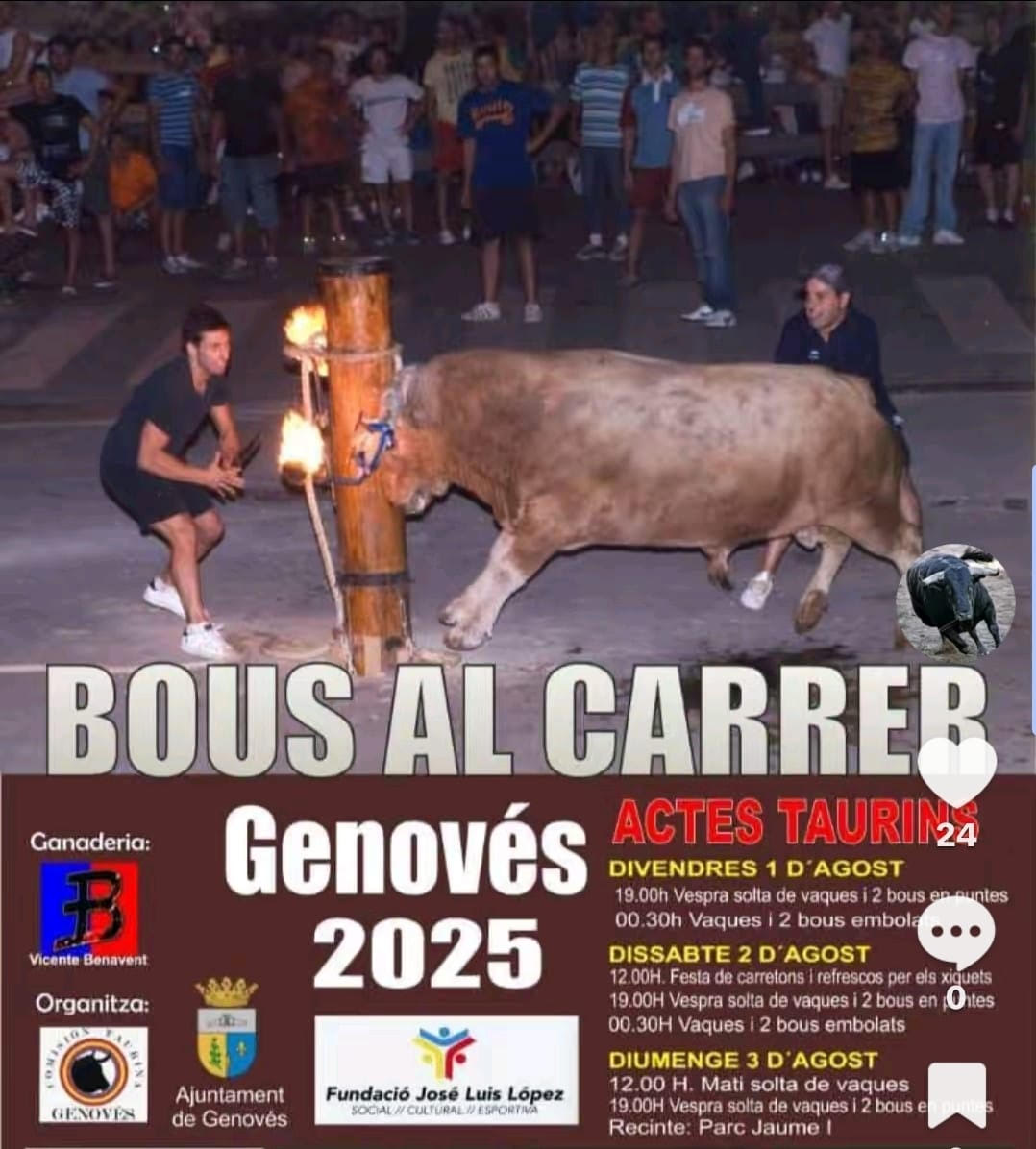 TOROS GENOVES DEL 1 AL 3 DE AGOSTO 2025