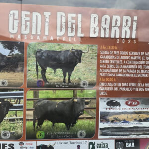 TOROS GENT DEL BARRI 9 AGOSTO 2025
