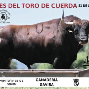 TOROS GRAZALEMA 21 DE JULIO 2025