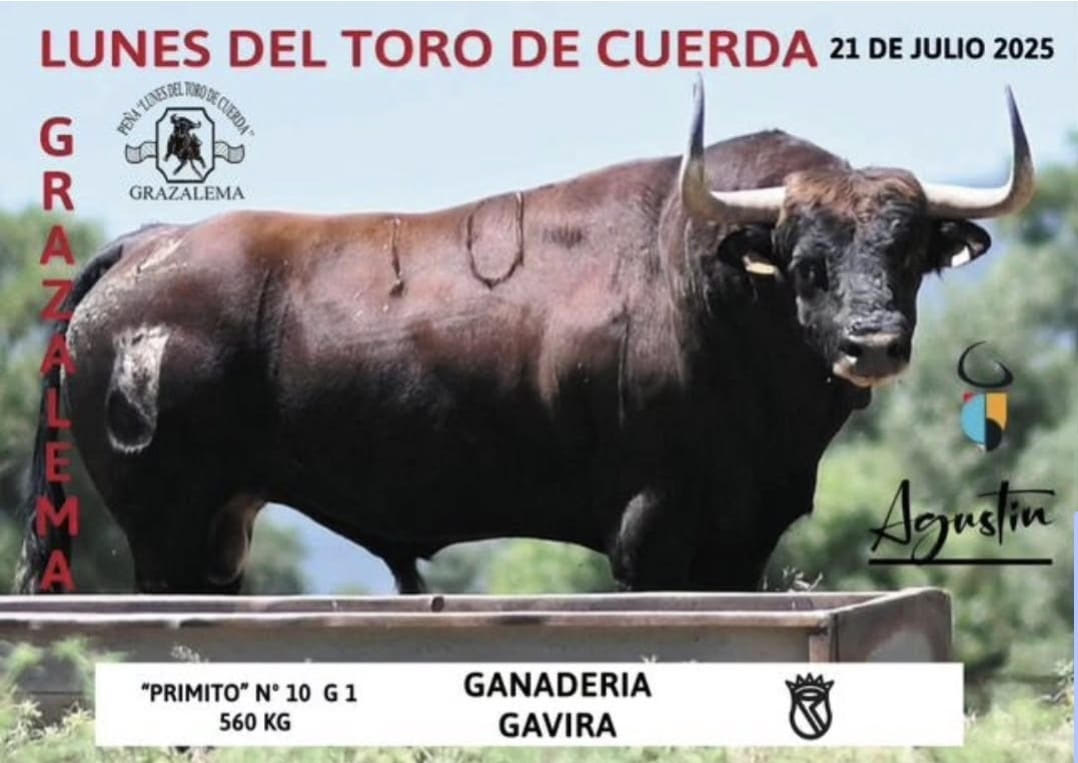 TOROS GRAZALEMA 21 DE JULIO 2025