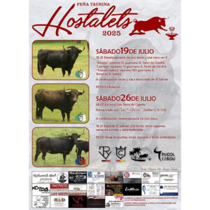 TOROS HOSTALEST 26 JULIO 2025