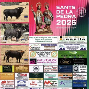 "TOROS LA VILAVELLA 29, 30 y 31 DE JULIO 2025"