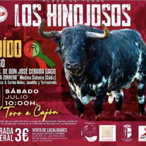 TOROS LOS HINOJOSOS 19 JULIO 2025