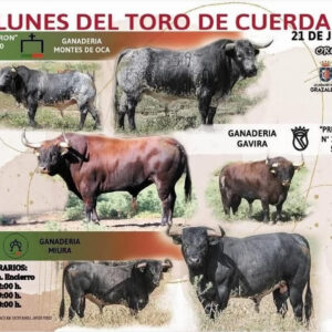 TOROS LUNES DEL TORO DE CUERDA 21 JULIO 2025