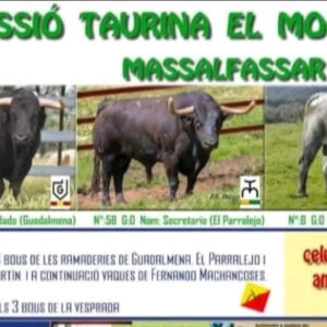 TOROS MASSALFASAR 12 JULIO 2025