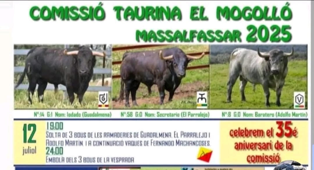 TOROS MASSALFASAR 12 JULIO 2025