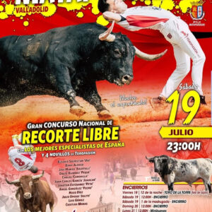 TOROS MATAPOZUELOS 19 JULIO 2025