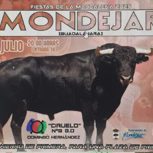 TOROS MODEJAR 19 JULIO 2025