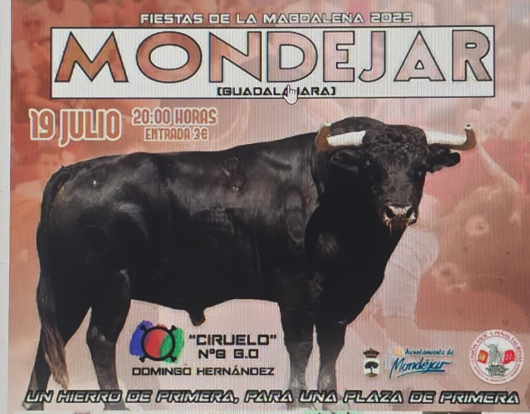 TOROS MODEJAR 19 JULIO 2025