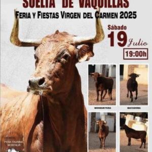 TOROS MONTECORTO 19 JULIO 2025