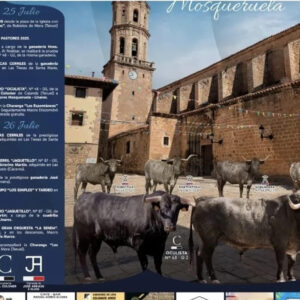 TOROS MOSQUERUELA 25 Y 26 DE JULIO 2025