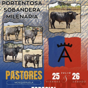 TOROS MOSQUERUELAS 25 Y 26 DE JULIO 2025