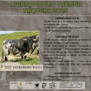 TOROS NAQUERA DEL 4 AL 6 JULIO 2025