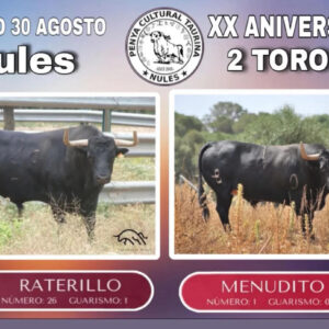 TOROS NULES 30 AGOSTO 2025