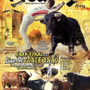 TOROS PLAZA DE TOROS DE ISCAR 2 AGOSTO 2025