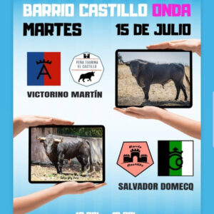 TOROS ONDA 15 DE JULIO