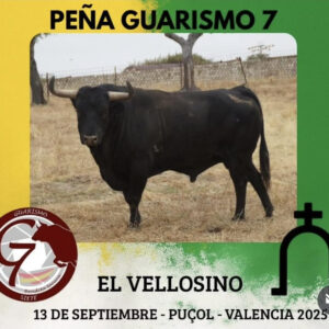 TOROS PENA GUARISMO7 13 SEPTIEMBRE 2025