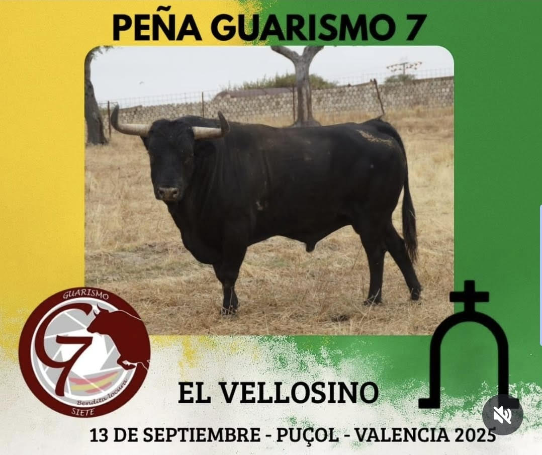 TOROS PENA GUARISMO7 13 SEPTIEMBRE 2025