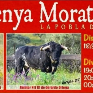TOROS PENA MORATALL 29 Y 30 AGOSTO 2025