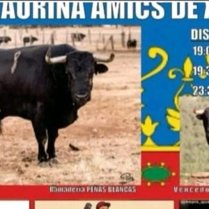 TOROS PENA TAURINA AMIGOS DE XAVELIN 19 JULIO 2025