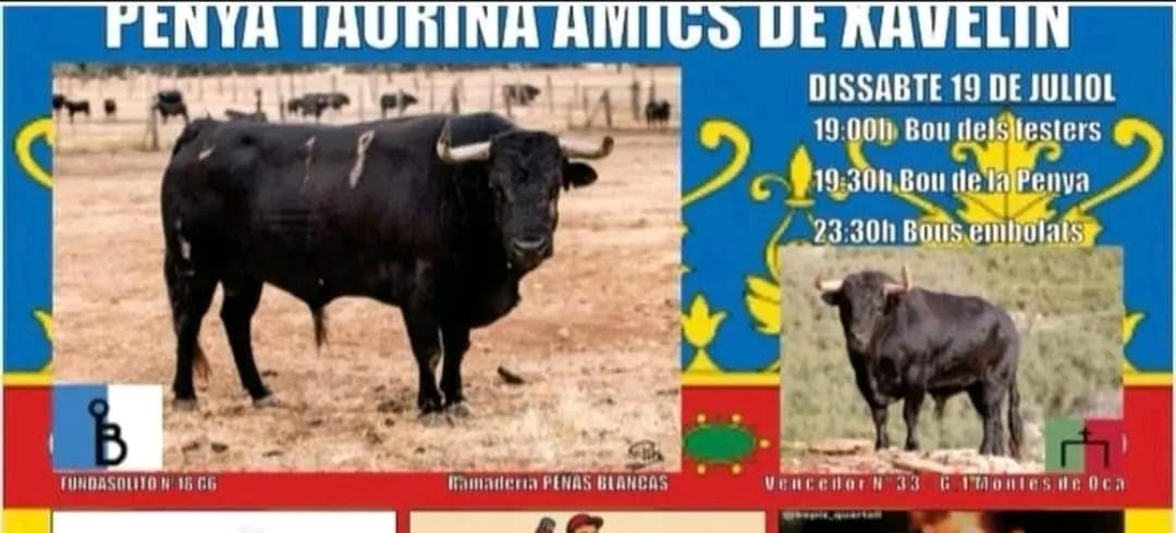 TOROS PENA TAURINA AMIGOS DE XAVELIN 19 JULIO 2025
