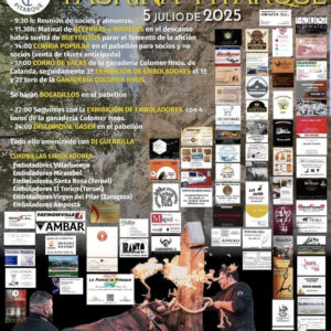 TOROS PITARQUE 5 JULIO 2025