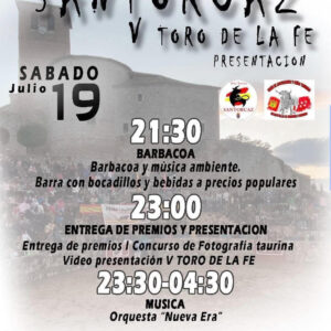 TOROS PLAZA DE TOROS DE SANTORCAZ 19 JULIO 2025