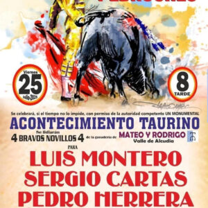 TOROS PLAZA DE TOROS EL VISO DE LOS PEDROCHES 25 JULIO 2025