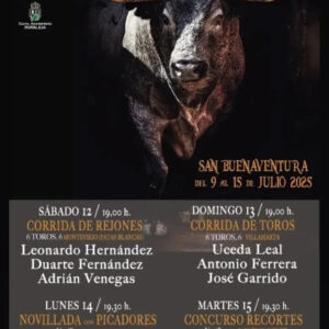 TOROS PLAZA DE TOROS MORALEJA DEL 12 AL 15 DE JULIO 2025