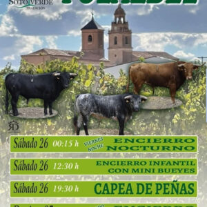 TOROS PLAZA DE TOROS POZALDEZ DEL 24 AL 27 DE JULIO 2025"