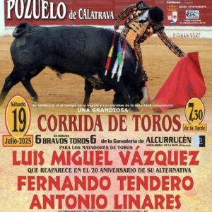 TOROS PLAZA DE TOROS POZUELO DE CALATRAVA 19 JULIO 2025