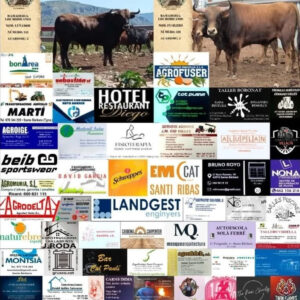 TOROS SANTA BARBARA 19 JULIO 2025