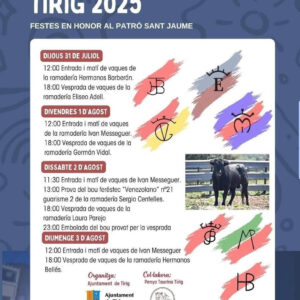 TOROS TIRIG DEL 31 DE JULIO AL 3 AGOSTO 2025