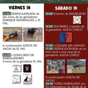 TOROS TORRES DE ALBARRACÍN DEL 18 AL 19 DE JULIO 2025"
