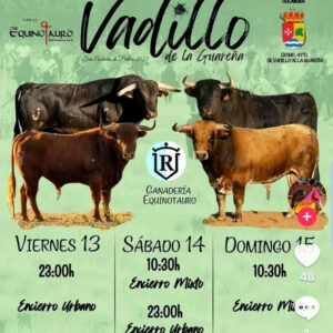 TOROS VADILLO DE LA GUARENA 13 14 Y 15 DE JULIO 2025