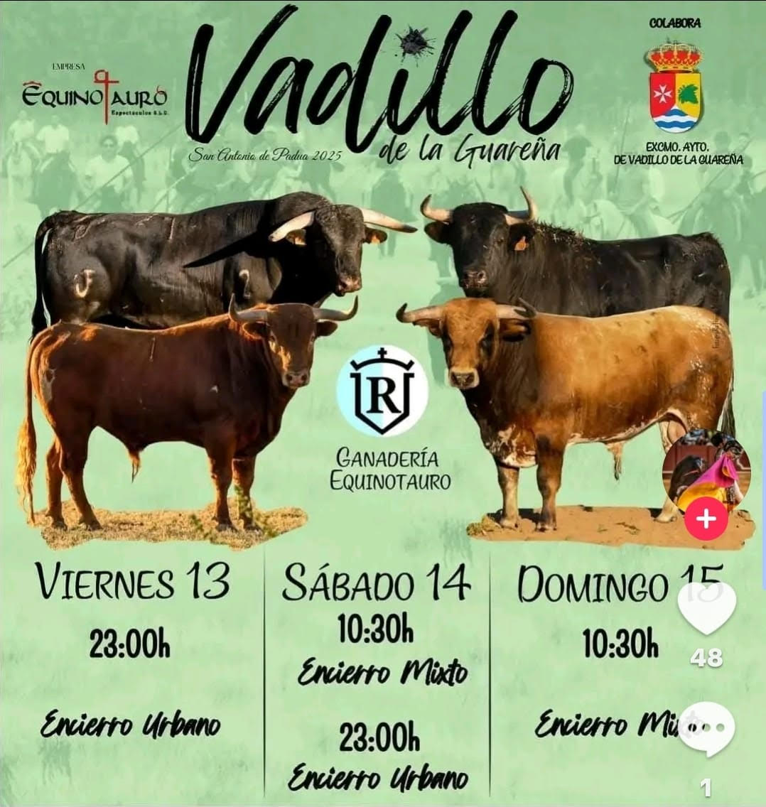 TOROS VADILLO DE LA GUARENA 13 14 Y 15 DE JULIO 2025