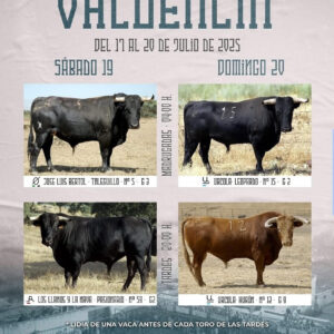 TOROS VALDENCÍN DEL 17 AL 20 JULIO 2025