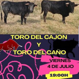 TOROS VELASCALVARO 4 JULIO 2025
