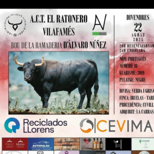 TOROS VILAFAMÉS 22 AGOSTO 2025