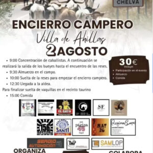 TOROS VILLA DE AHILLAC 2 AGOSTO 2025