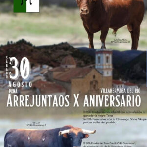 TOROS VILLAHERMOSA DEL RIO 30 DE AGOSTO 2025