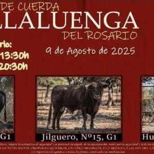 TOROS VILLALUENCA 9 AGOSTO 2025