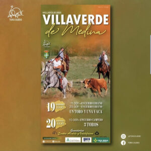TOROS VILLAVERDE DE MEDINA 19 Y 20 DE JULIO 2025