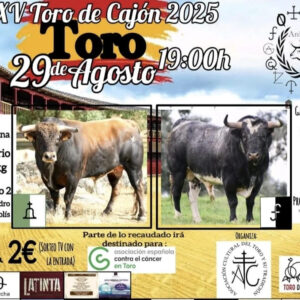 TOROS XV TORO DE CAJÓN 29 AGOSTO 2025