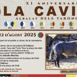 TOROS ALBALAT DELS TARONGERS 22 DE AGOSTO 2025