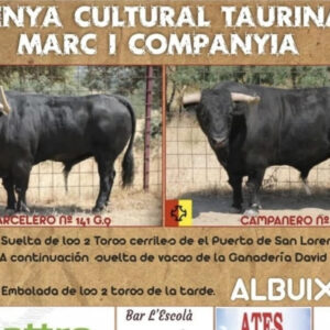 TOROS ALBUIXECH 16 AGOSTO 2025