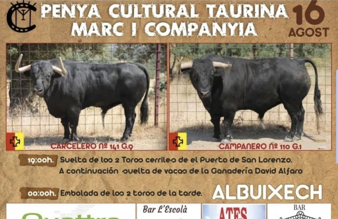 TOROS ALBUIXECH 16 AGOSTO 2025
